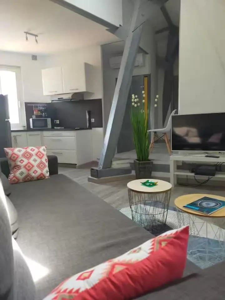 Charmant Appartement Intra-Muros Avignon Apartment